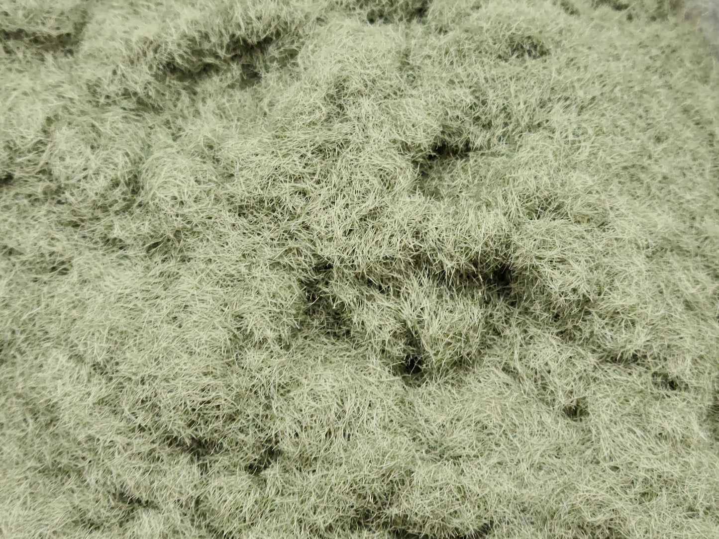 Turf Medium Green Grass