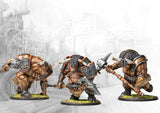 Conquest - City States Minotaur Thyreans