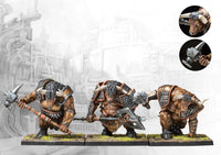 Conquest - Two Player Starter Set Nords VS City States