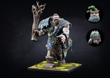 Conquest - Two Player Starter Set Nords VS City States