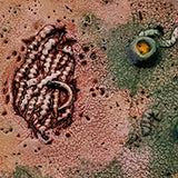 Creeping Infection - Round Edge