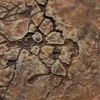 Desert Basin - Round Bases