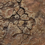 Desert Basin - Round Bases