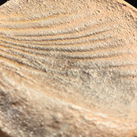 Desert Sands - Round Bases