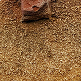 Desert Wasteland - Round Bases