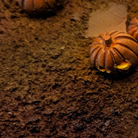 Field of Screams - Round Bases