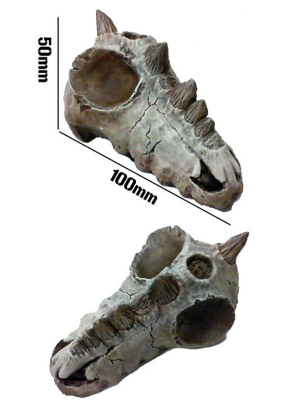 Terrain:  Dragon Skull