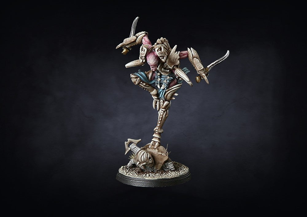 Conquest - Spires: Mimetic Assassin