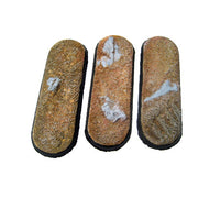 Desert Wasteland - Round Bases