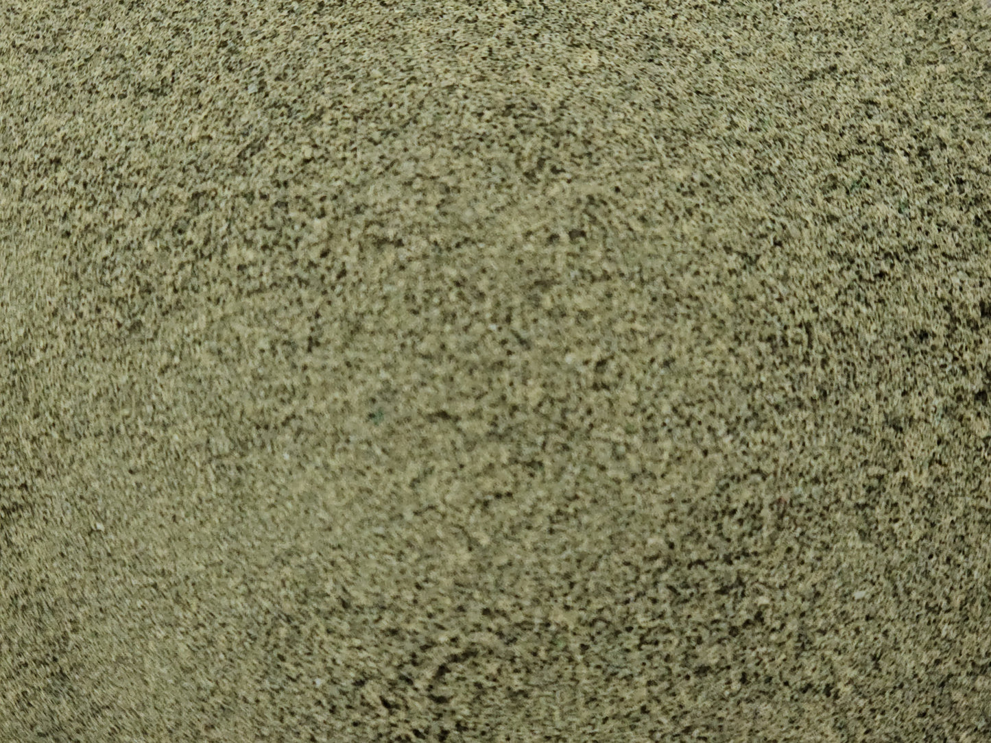 Fine Turf Burnt Grass