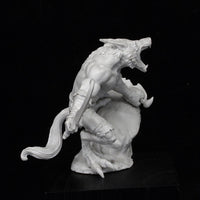 Journeyman Miniatures - Kassar the Fugitive - Gaming